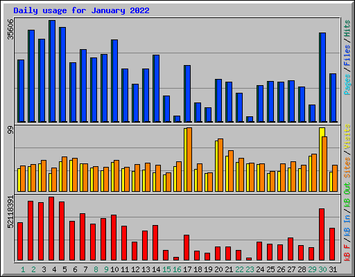 Daily usage for January 2022