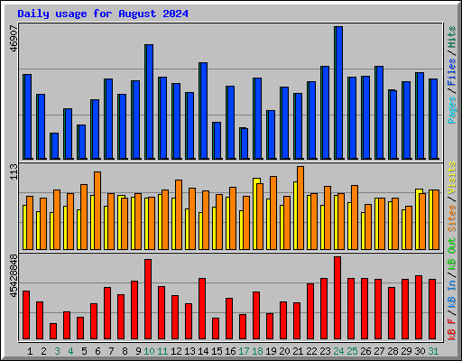 Daily usage for August 2024