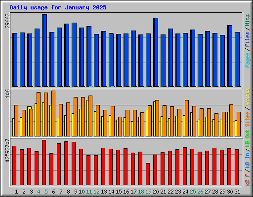 Daily usage for January 2025