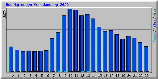 Hourly usage for January 2022