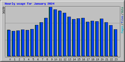 Hourly usage for January 2024