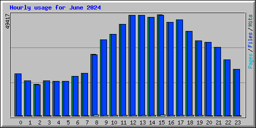 Hourly usage for June 2024