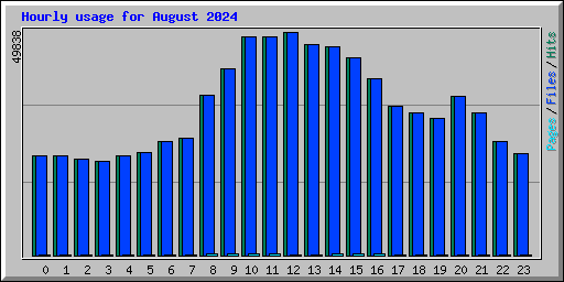 Hourly usage for August 2024