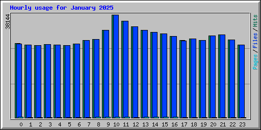 Hourly usage for January 2025