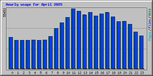 Hourly usage for April 2025
