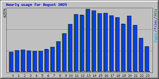Hourly usage for August 2025