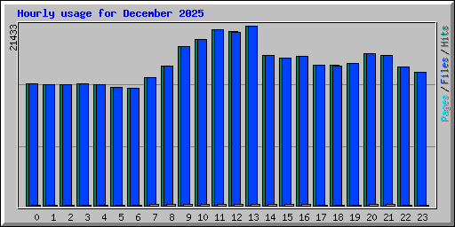 Hourly usage for December 2025