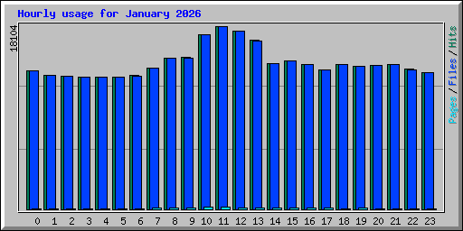 Hourly usage for January 2026