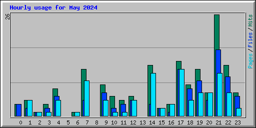 Hourly usage for May 2024