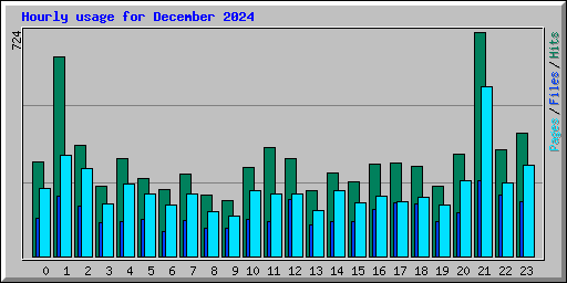 Hourly usage for December 2024