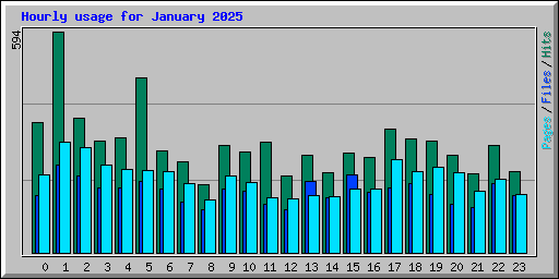 Hourly usage for January 2025