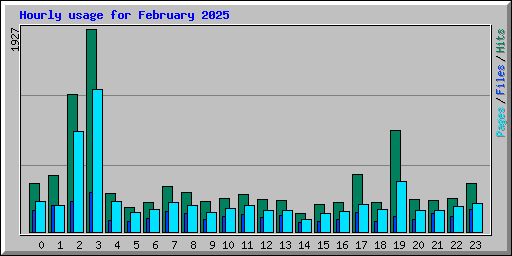 Hourly usage for February 2025