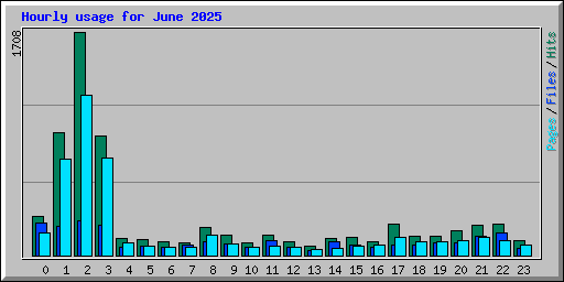 Hourly usage for June 2025