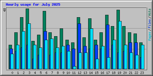 Hourly usage for July 2025