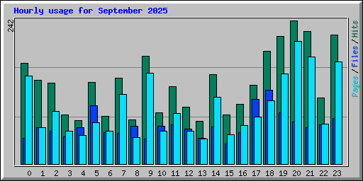 Hourly usage for September 2025