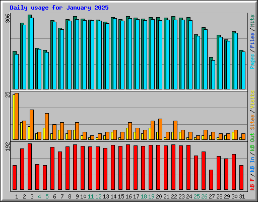 Daily usage for January 2025