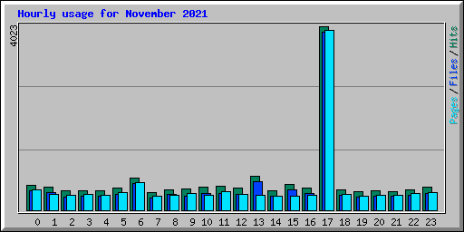 Hourly usage for November 2021