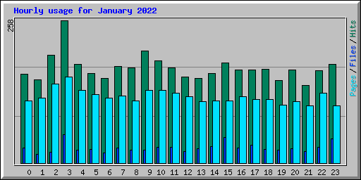 Hourly usage for January 2022