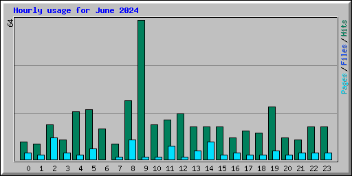 Hourly usage for June 2024