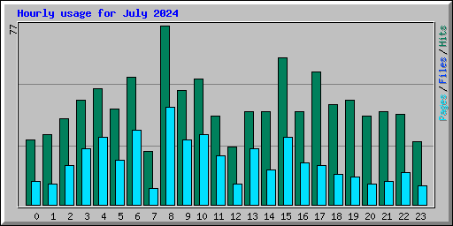 Hourly usage for July 2024