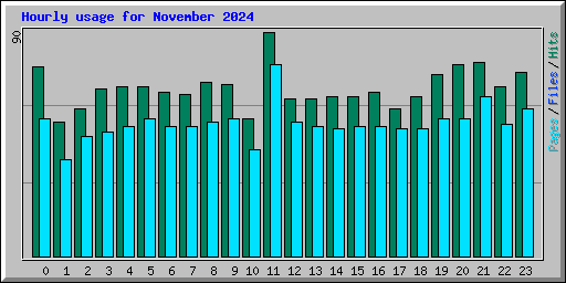 Hourly usage for November 2024