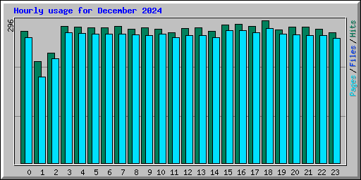 Hourly usage for December 2024