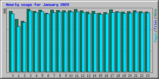 Hourly usage for January 2025