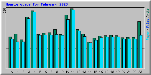Hourly usage for February 2025