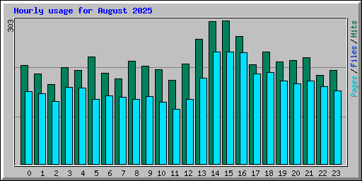 Hourly usage for August 2025