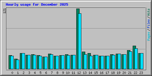 Hourly usage for December 2025