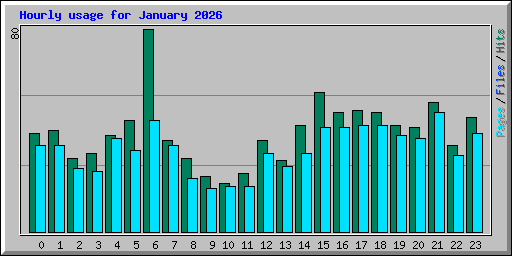 Hourly usage for January 2026