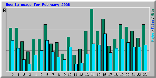 Hourly usage for February 2026