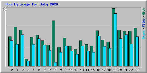 Hourly usage for July 2026