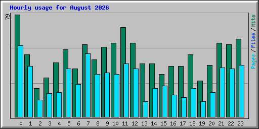 Hourly usage for August 2026