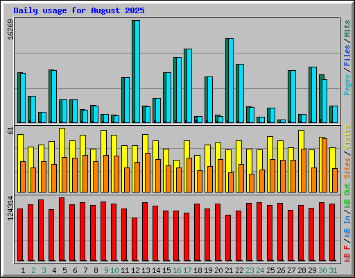 Daily usage for August 2025
