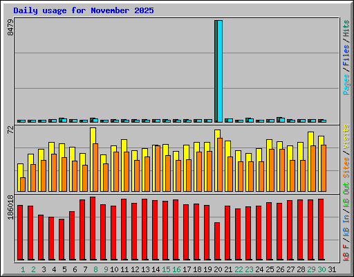 Daily usage for November 2025