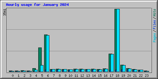 Hourly usage for January 2024