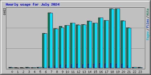 Hourly usage for July 2024
