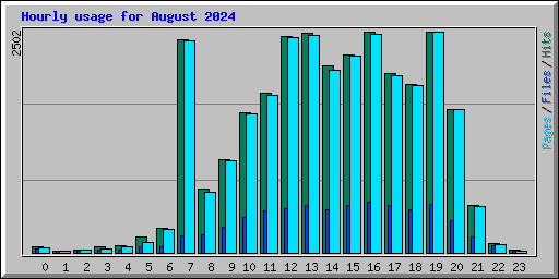 Hourly usage for August 2024