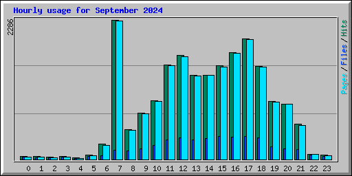 Hourly usage for September 2024