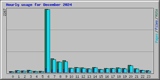 Hourly usage for December 2024