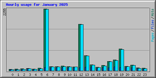 Hourly usage for January 2025