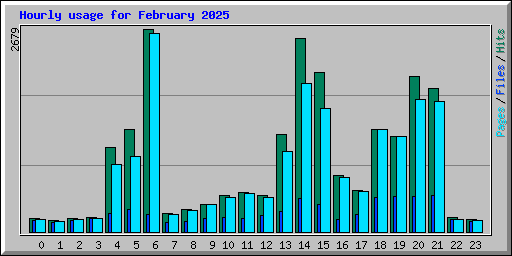 Hourly usage for February 2025