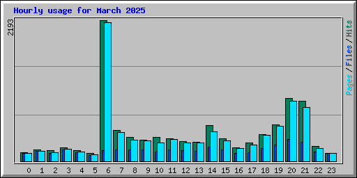 Hourly usage for March 2025
