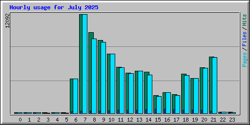 Hourly usage for July 2025
