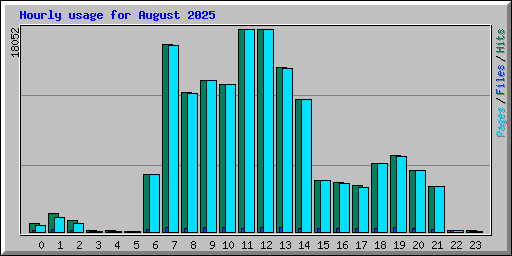 Hourly usage for August 2025