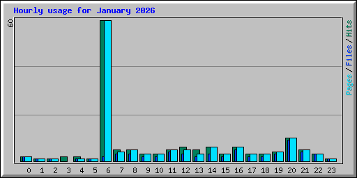Hourly usage for January 2026