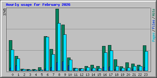 Hourly usage for February 2026