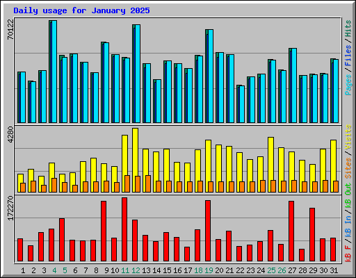 Daily usage for January 2025