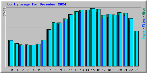 Hourly usage for December 2024